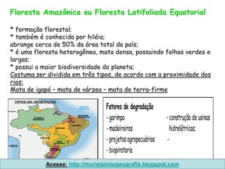 Floresta Amazônica ou Floresta Latifoliada Equatorial

* formação florestal;
* também é conhecida por hiléia;
abrange cerca de 50% da área total do país;
* é uma floresta heterogênea, mata densa, possuindo folhas verdes e
largas;
* possui a maior biodiversidade do planeta;
Costuma ser dividida em três tipos, de acordo com a proximidade dos
rios:
Mata de igapó – mata de várzea – mata de terra-firme

                                Fatores de degradação
                                - garimpo                  - construção de usinas
                                - madeireiras                 hidrelétricas;
                                - projetos agropecuários    -
                                - biopirataria
           Acesse: http://murielpintogeografia.blogspot.com
 