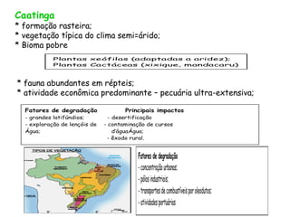 Caatinga
* formação rasteira;
* vegetação típica do clima semi=árido;
* Bioma pobre
            Plantas xeófilas (adaptadas a aridez);
            Plantas Cactáceas (xixique, mandacaru)



* fauna abundantes em répteis;
* atividade econômica predominante – pecuária ultra-extensiva;

  Fatores de degradação               Principais impactos
  - grandes latifúndios;         - desertificação
  - exploração de lençóis de   - contaminação de cursos
  Água;                            d’águaÁgua;
                                - êxodo rural.


                                          Fatores de degradação
                                          - concentração urbanas;
                                          - pólos industriais;
                                          - transportes de combustíveis por oleodutos;
                                          - atividades portuárias
 