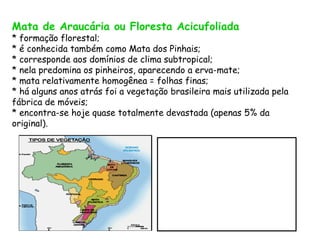 Mata de Araucária ou Floresta Acicufoliada
* formação florestal;
* é conhecida também como Mata dos Pinhais;
* corresponde aos domínios de clima subtropical;
* nela predomina os pinheiros, aparecendo a erva-mate;
* mata relativamente homogênea = folhas finas;
* há alguns anos atrás foi a vegetação brasileira mais utilizada pela
fábrica de móveis;
* encontra-se hoje quase totalmente devastada (apenas 5% da
original).
 