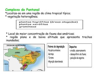 Complexo do Pantanal
*Localiza-se em uma região de clima tropical típico;
* vegetação heterogênea;
          plantas higrófilas (áreas alagadas)
          plantas xerófilas
          gramíneas



* Local de maior concentração de fauna das américas;
* região plana e de baixa altitude que apresenta trechos
inundados;

                                 Fatores de degradação   Impactos
                                 -Pecuária extensiva     - erosão, assoreamento
                                 -Garimpo                - desequilíbrio da fauna;
                                 -Turismo                - poluição de esgotos.
                                 -Migração desordenada
 