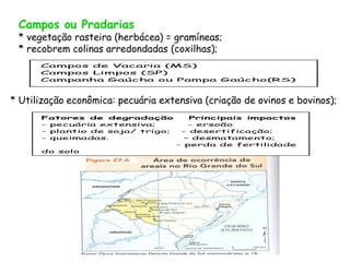 Campos ou Pradarias
 * vegetação rasteira (herbácea) = gramíneas;
 * recobrem colinas arredondadas (coxilhas);
      Campos de Vacaria (MS)
      Campos Limpos (SP)
      Campanha Gaúcha ou Pampa Gaúcho(RS)



* Utilização econômica: pecuária extensiva (criação de ovinos e bovinos);
      Fatores de degradação             Principais impactos
      - pecuária extensiva;             - ersoão
      - plantio de soja/ trigo;       - desertificação;
      - queimadas.                     – desmatamento;
                                     - perda de fertilidade
      do solo
 