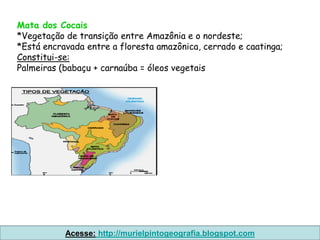 Mata dos Cocais
*Vegetação de transição entre Amazônia e o nordeste;
*Está encravada entre a floresta amazônica, cerrado e caatinga;
Constitui-se:
Palmeiras (babaçu + carnaúba = óleos vegetais




           Acesse: http://murielpintogeografia.blogspot.com
 