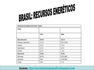 PRODUÇÃO DE ENERGIA POR FONTE - BRASIL

Fonte


                                  1973    2004


Não-renovável                     20,5%   52,4 %
Petróleo e derivados              16,1%   40,4 % (1º)
Carvão                            2,2 %   1,2 %
Gás Natural                       2,2 %   8,9 %
Nuclear                           0,0 %   1,9 %
Renovável                         79,6%   47,8%
Biomassa                          69,5%   30,2% (2º)
Hidráulica                        9,5%    14,5% (3º)
Outras                            0,6%    3,1%


  Acesse: http://murielpintogeografia.blogspot.com
 