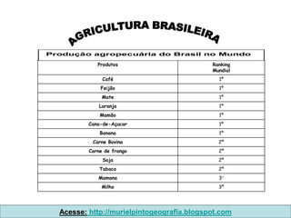 Produção agropecuária do Brasil no Mundo

             Produtos                       Ranking
                                            Mundial
               Café                           1º
              Feijão                          1º
               Mate                           1º
              Laranja                         1º
              Mamão                           1º
          Cana-de-Açucar                      1º
              Banana                          1º
           Carne Bovina                       2º
          Carne de frango                     2º
               Soja                           2º
              Tabaco                          2º
             Mamona                           3°
               Milho                          3º




  Acesse: http://murielpintogeografia.blogspot.com
 