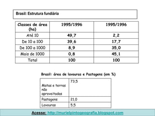 Brasil: Estrutura fundiária

 Classes de área              1995/1996             1995/1996
       (ha)
      Até 10                     49,7                   2,2
   De 10 a 100                   39,6                  17,7
  De 100 a 1000                  8,9                   35,0
  Mais de 1000                   0,8                   45,1
       Total                     100                    100


               Brasil: área de lavouras e Pastagens (em %)

                                  73,5
                Matas e terras
                não
                aproveitadas
                Pastagens         21,0
                Lavouras          5,5

         Acesse: http://murielpintogeografia.blogspot.com
 