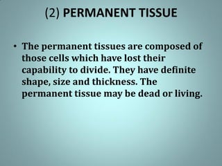 (2) PERMANENT TISSUE
• The permanent tissues are composed of
those cells which have lost their
capability to divide. They have definite
shape, size and thickness. The
permanent tissue may be dead or living.
 