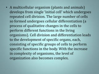 • A multicellular organism (plants and animals)
develops from single ‘initial cell’ which undergoes
repeated cell division. The large number of cells
so formed undergoes cellular differentiation (a
process of qualitative changes in the cells to
perform different functions in the living
organisms). Cell division and differentiation leads
to the development of specific organs, each,
consisting of specific groups of cells to perform
specific functions in the body. With the increase
in complexity of organisms, the level of
organization also becomes complex.
 