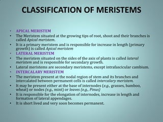 CLASSIFICATION OF MERISTEMS
• APICAL MERISTEM
• The Meristem situated at the growing tips of root, shoot and their branches is
called Apical meristem.
• It is a primary meristem and is responsible for increase in length (primary
growth) is called Apical meristem
• LATERAL MERISTEM
• The meristem situated on the sides of the axis of plants is called lateral
meristem and is responsible for secondary growth.
• Lateral meristems are secondary meristems, except intrafascicular cambium.
• INTERCALARY MERISTEM
• The meristem present at the nodal region of stem and its branches and
intercalated between permanent cells is called intercalary meristem.
• It may be present either at the base of internodes (e.g., grasses, bamboo,
wheat) or nodes (e.g., mint) or leaves (e.g., Pinus)
• It is responsible for the elongation of internodes, increase in length and
formation of lateral appendages.
• It is short lived and very soon becomes permanent.
 