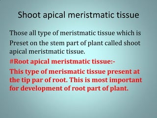 Shoot apical meristmatic tissue
Those all type of meristmatic tissue which is
Preset on the stem part of plant called shoot
apical meristmatic tissue.
#Root apical meristmatic tissue:-
This type of merismatic tissue present at
the tip par of root. This is most important
for development of root part of plant.
 
