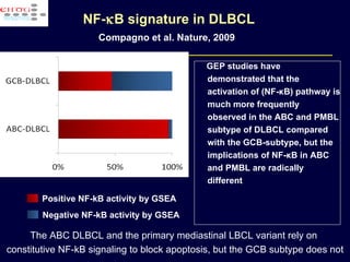 GEP studies have demonstrated that the activation of (NF-κB) pathway is much more frequently observed in the ABC and PMBL subtype of DLBCL compared with the GCB-subtype, but the implications of NF-κB in ABC and PMBL are radically different  NF-  B signature in DLBCL Compagno et al. Nature, 2009  Positive NF-kB activity by GSEA Negative NF-kB activity by GSEA The ABC DLBCL and the primary mediastinal LBCL variant rely on  constitutive NF-kB signaling to block apoptosis, but the GCB subtype does not 