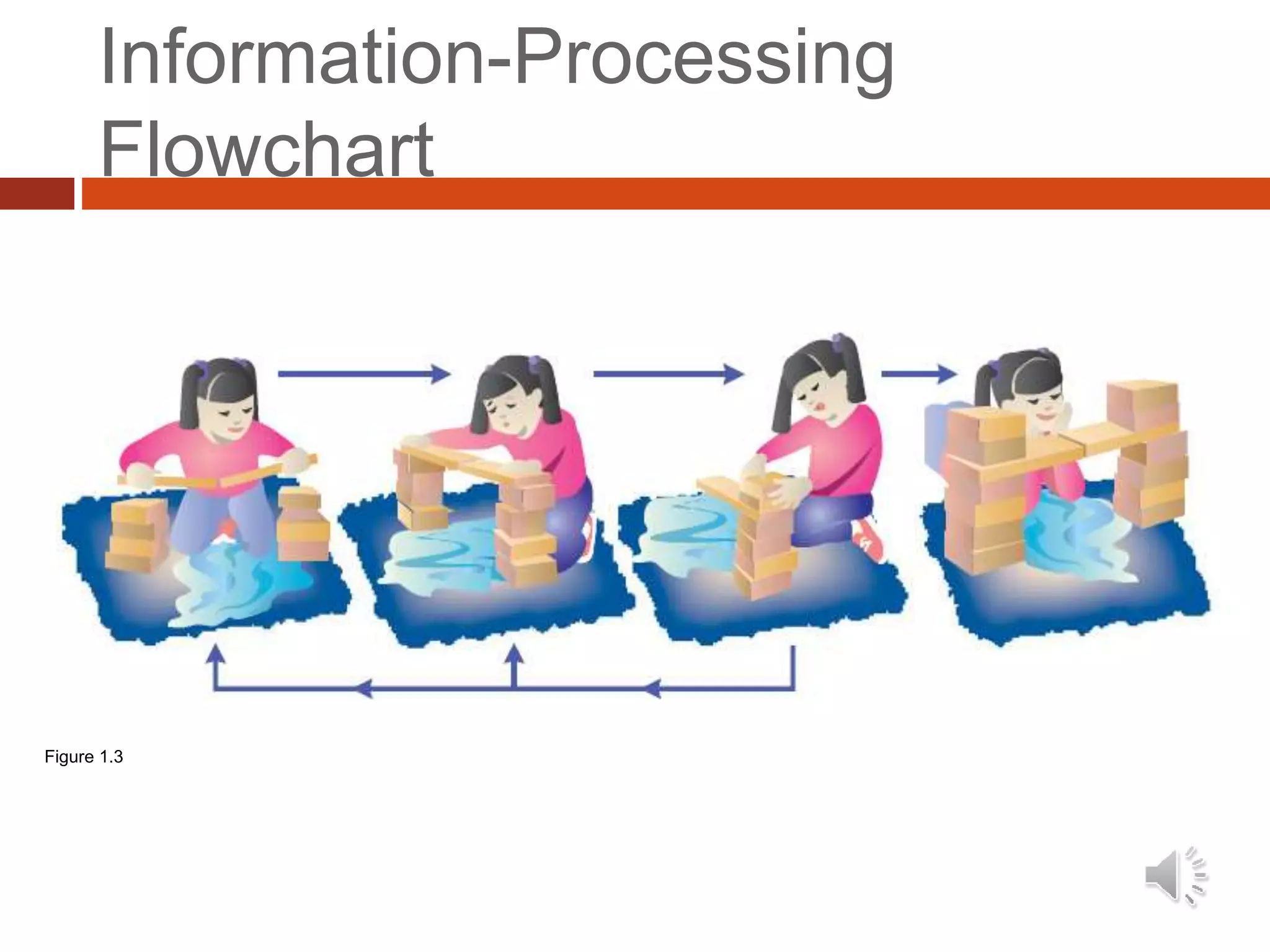 Information-Processing
Flowchart
Figure 1.3
 