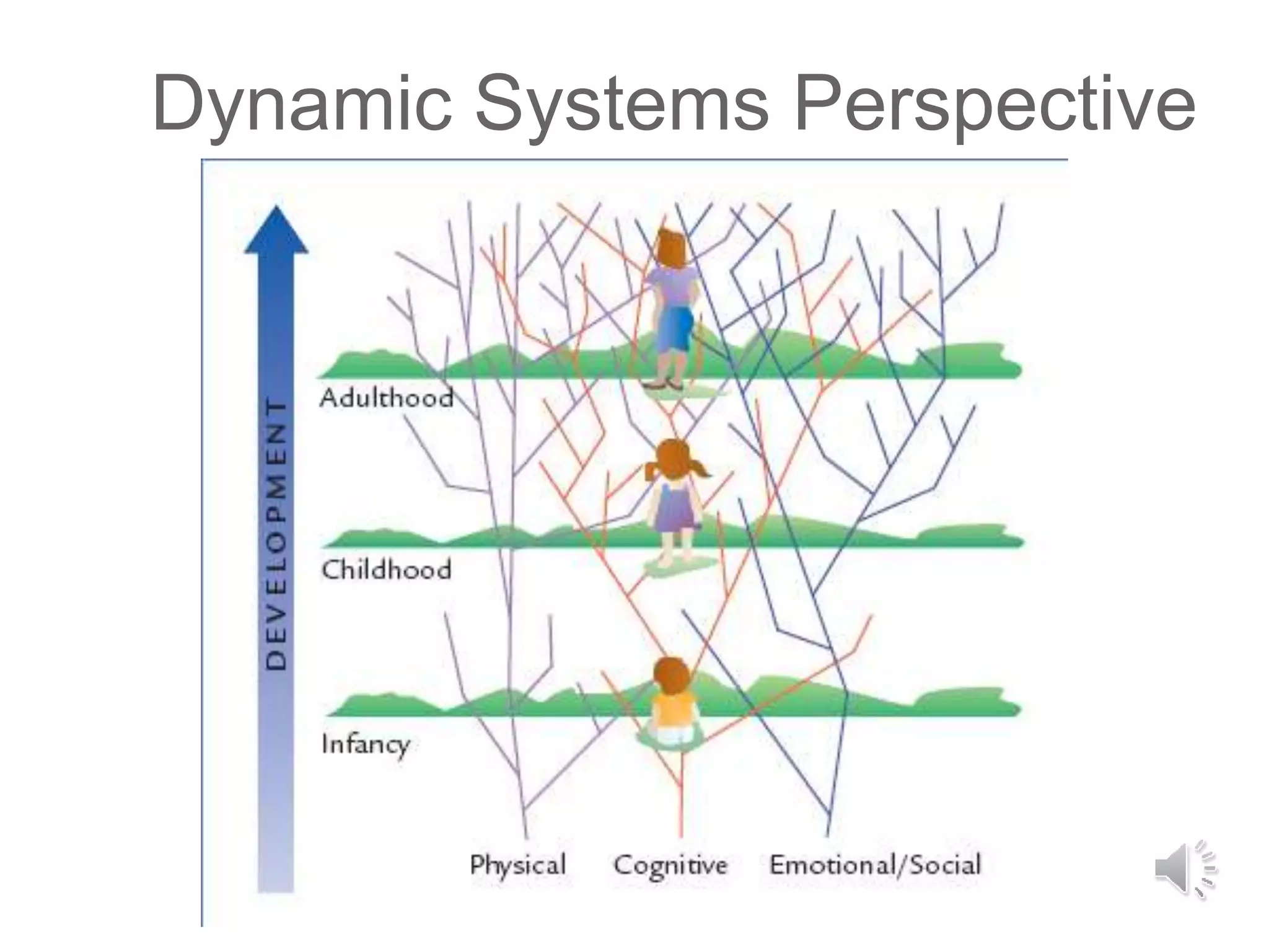 Dynamic Systems Perspective
 