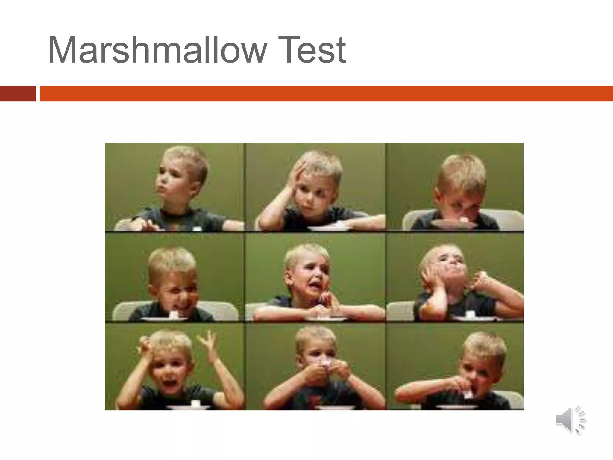 Marshmallow Test
 