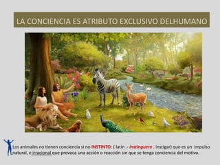 LA CONCIENCIA ES ATRIBUTO EXCLUSIVO DELHUMANO
Los animales no tienen conciencia si no INSTINTO: ( latín .- instinguere . instigar) que es un impulso
natural, e irracional que provoca una acción o reacción sin que se tenga conciencia del motivo.
 