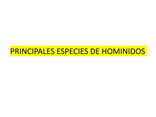 PRINCIPALES ESPECIES DE HOMINIDOS
 