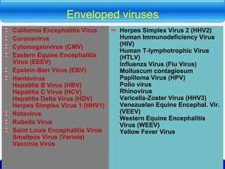 Enveloped viruses
California Encephalitis Virus
Coronavirus
Cytomegalovirus (CMV)
Eastern Equine Encephalitis
Virus (EEEV)
Epstein-Barr Virus (EBV)
Hantavirus
Hepatitis B Virus (HBV)
Hepatitis C Virus (HCV)
Hepatitis Delta Virus (HDV)
Herpes Simplex Virus 1 (HHV1)
Rotavirus
Rubella Virus
Saint Louis Encephalitis Virus
Smallpox Virus (Variola)
Vaccinia Virus
Herpes Simplex Virus 2 (HHV2)
Human Immunodeficiency Virus
(HIV)
Human T-lymphotrophic Virus
(HTLV)
Influenza Virus (Flu Virus)
Molluscum contagiosum
Papilloma Virus (HPV)
Polio virus
Rhinovirus
Varicella-Zoster Virus (HHV3)
Venezuelan Equine Encephal. Vir.
(VEEV)
Western Equine Encephalitis
Virus (WEEV)
Yellow Fever Virus
 