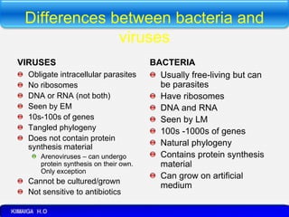 Differences between bacteria and
viruses
VIRUSES
Obligate intracellular parasites
No ribosomes
DNA or RNA (not both)
Seen by EM
10s-100s of genes
Tangled phylogeny
Does not contain protein
synthesis material
Arenoviruses – can undergo
protein synthesis on their own.
Only exception
Cannot be cultured/grown
Not sensitive to antibiotics
BACTERIA
Usually free-living but can
be parasites
Have ribosomes
DNA and RNA
Seen by LM
100s -1000s of genes
Natural phylogeny
Contains protein synthesis
material
Can grow on artificial
medium
 