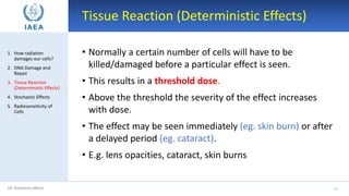 Jacoby Roth Deterministic Effects Radiation protection - Radiation Effects.pdf