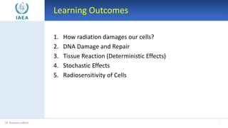 Radiation protection - Radiation Effects.pdf