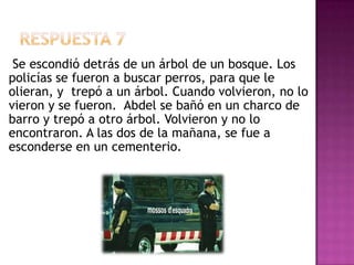 Respuesta7 Se escondió detrás de un árbol de un bosque. Los policías se fueron a buscar perros, para que le olieran, y  trepó a un árbol. Cuando volvieron, no lo vieron y se fueron.  Abdel se bañó en un charco de barro y trepó a otro árbol. Volvieron y no lo encontraron. A las dos de la mañana, se fue a esconderse en un cementerio.