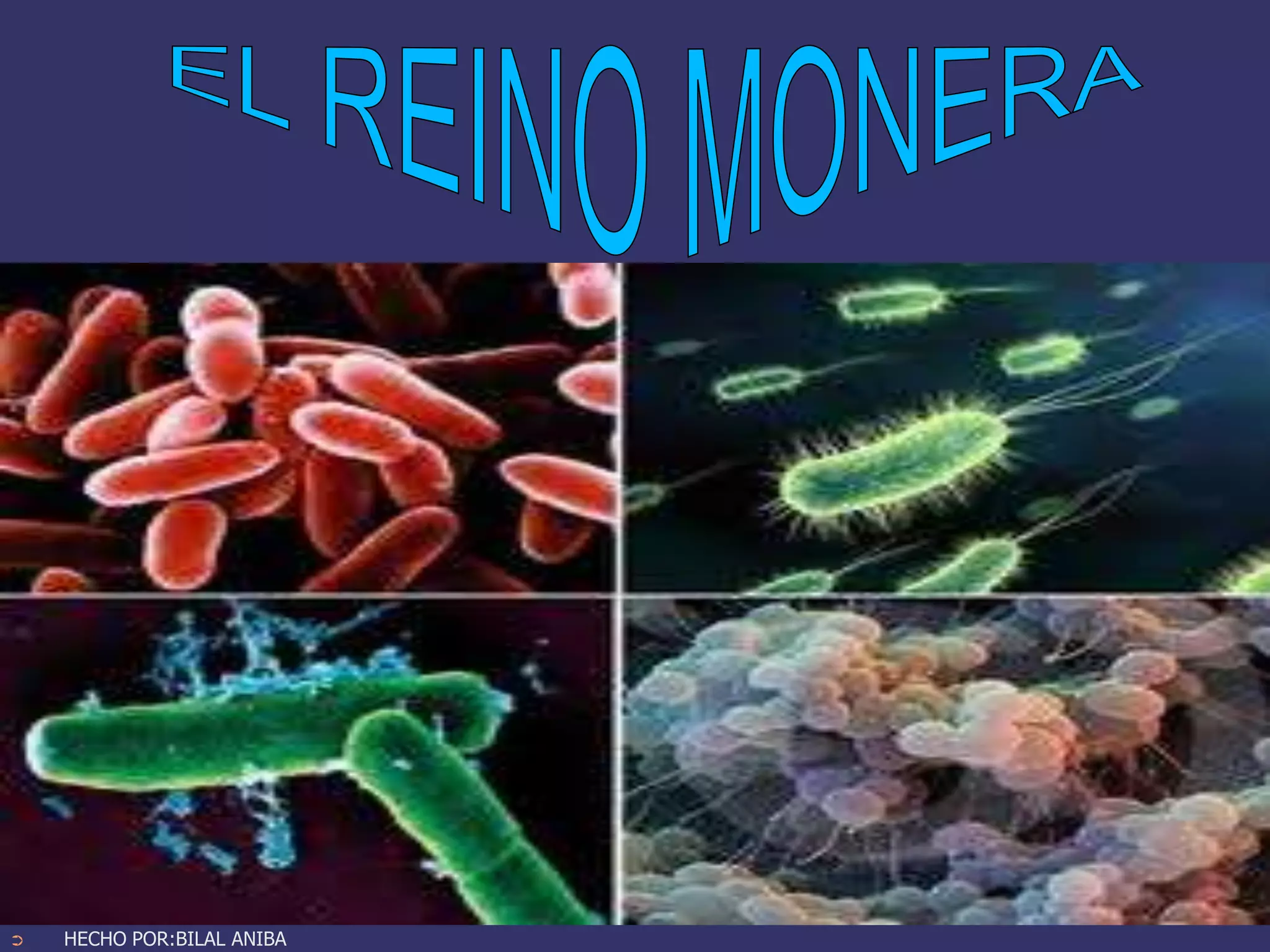 1 b los 5 reinos | PPT