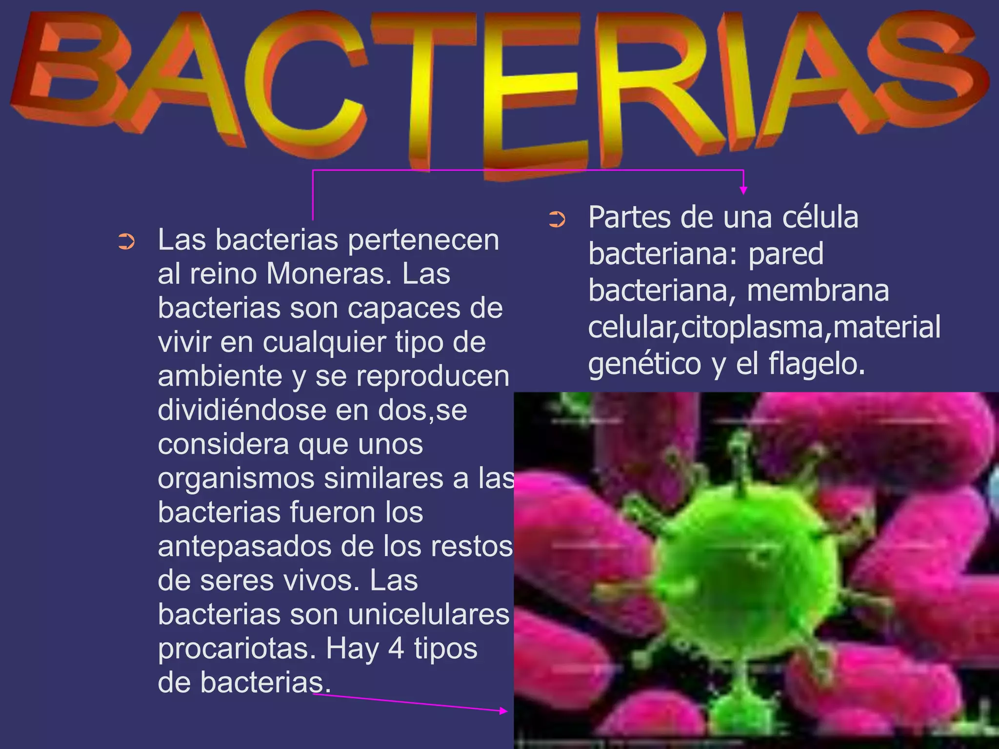 1 b los 5 reinos | PPT