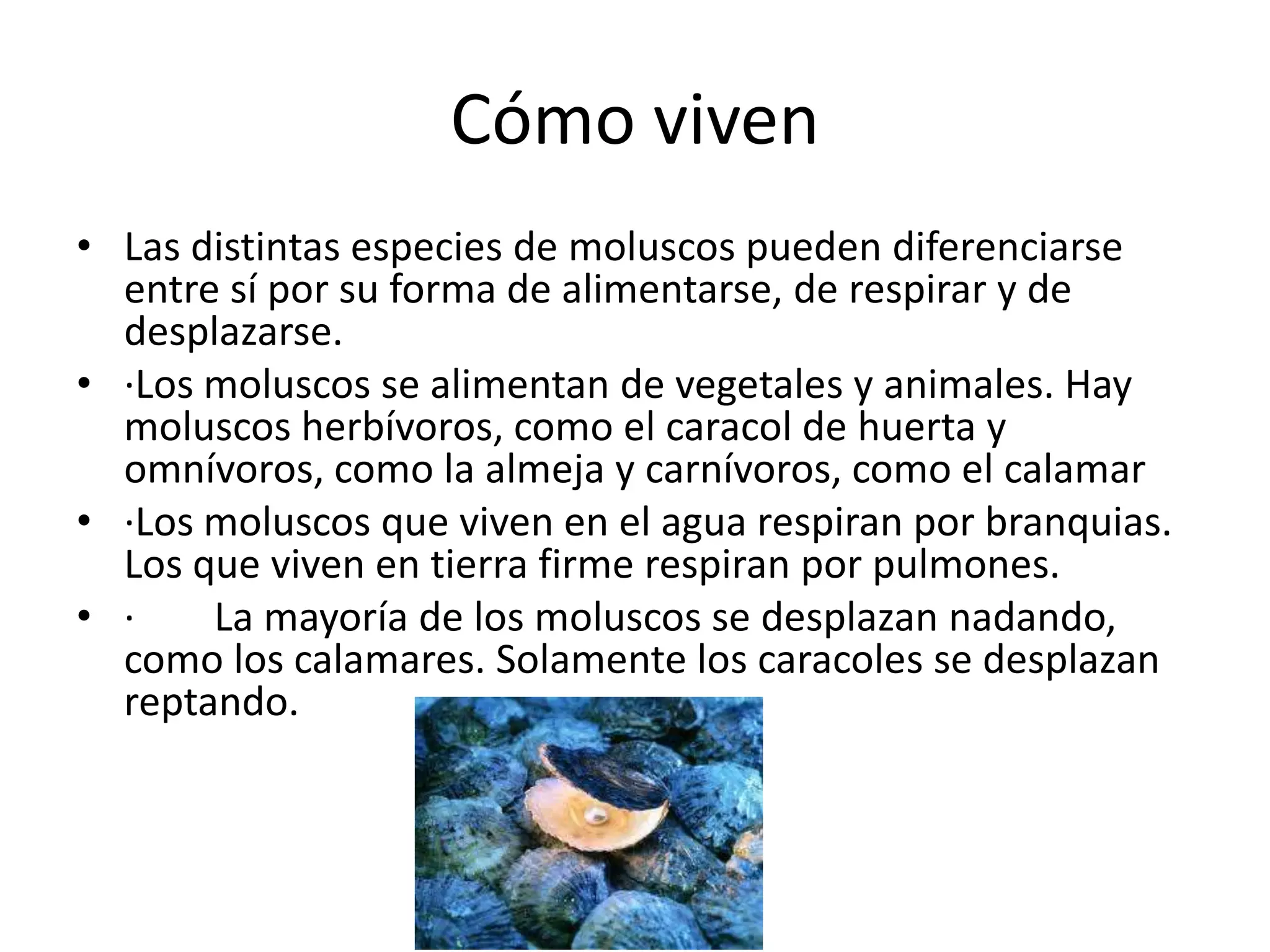 1 b los 5 reinos | PPT