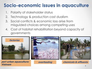 Fisheries sub-sector example