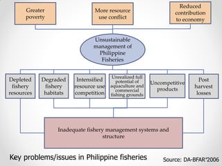 Fisheries sub-sector example
