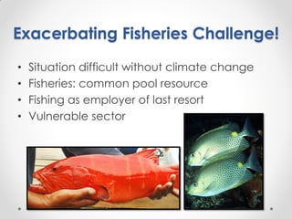 Fisheries sub-sector example