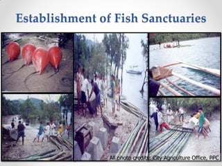 Fisheries sub-sector example