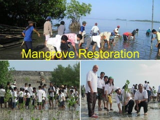 Fisheries sub-sector example