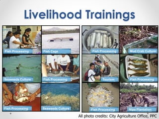 Livelihood Trainings
Fish Processing
Fish Processing
Fish Processing
Nipa Plantation
Mud Crab Culture
Seaweeds Culture
Sea...