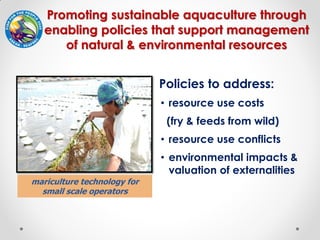 Fisheries sub-sector example