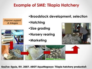 Fisheries sub-sector example