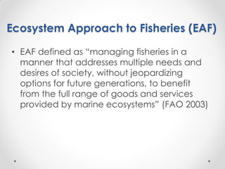 Fisheries sub-sector example