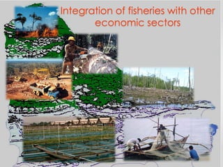 Integration of fisheries with other
economic sectors
 