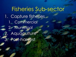 Fisheries sub-sector example