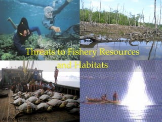 Fisheries sub-sector example