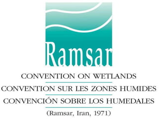Ramsar Convention on Wetlands
(www.ramsar.org)
 