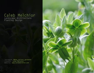 Instagram: @the_curious_gardener
LinkedIn: Caleb Melchior
Website: www.calebmelchior.com
Caleb Melchior
Landscape Architecture
Planting Design
1
 
