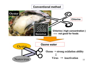 Chlorine ( high concentration )
----- not good for foods
Chlorine
Norovirus
Conventional method
Oyster
Ozone water
Oyster
Ozone = strong oxidation ability
↓
Virus → inactivation
Norovirus 15
 