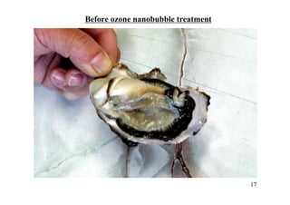 Before ozone nanobubble treatment
17
 