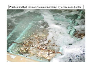 Practical method for inactivation of norovirus by ozone nano-bubble
19
 