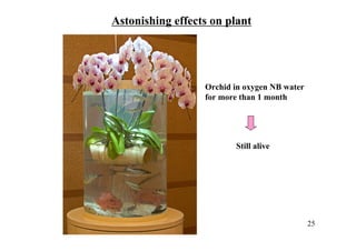 Orchid in oxygen NB water
for more than 1 month
Astonishing effects on plant
Still alive
25
 
