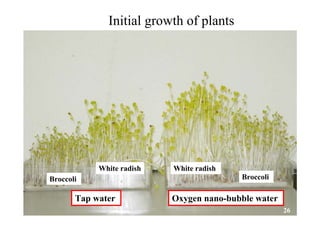 Tap water Oxygen nano-bubble water
White radish
Broccoli Broccoli
White radish
Initial growth of plants
26
 