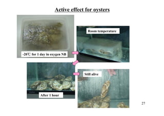 Active effect for oysters
-20℃ for 1 day in oxygen NB
Room temperature
After 1 hour
Still alive
27
 