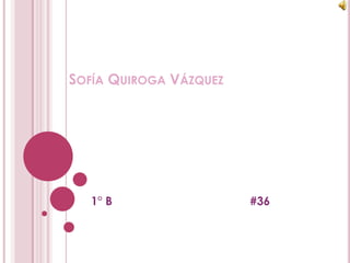 Sofía Quiroga Vázquez ,[object Object],1° B                                          #36,[object Object]