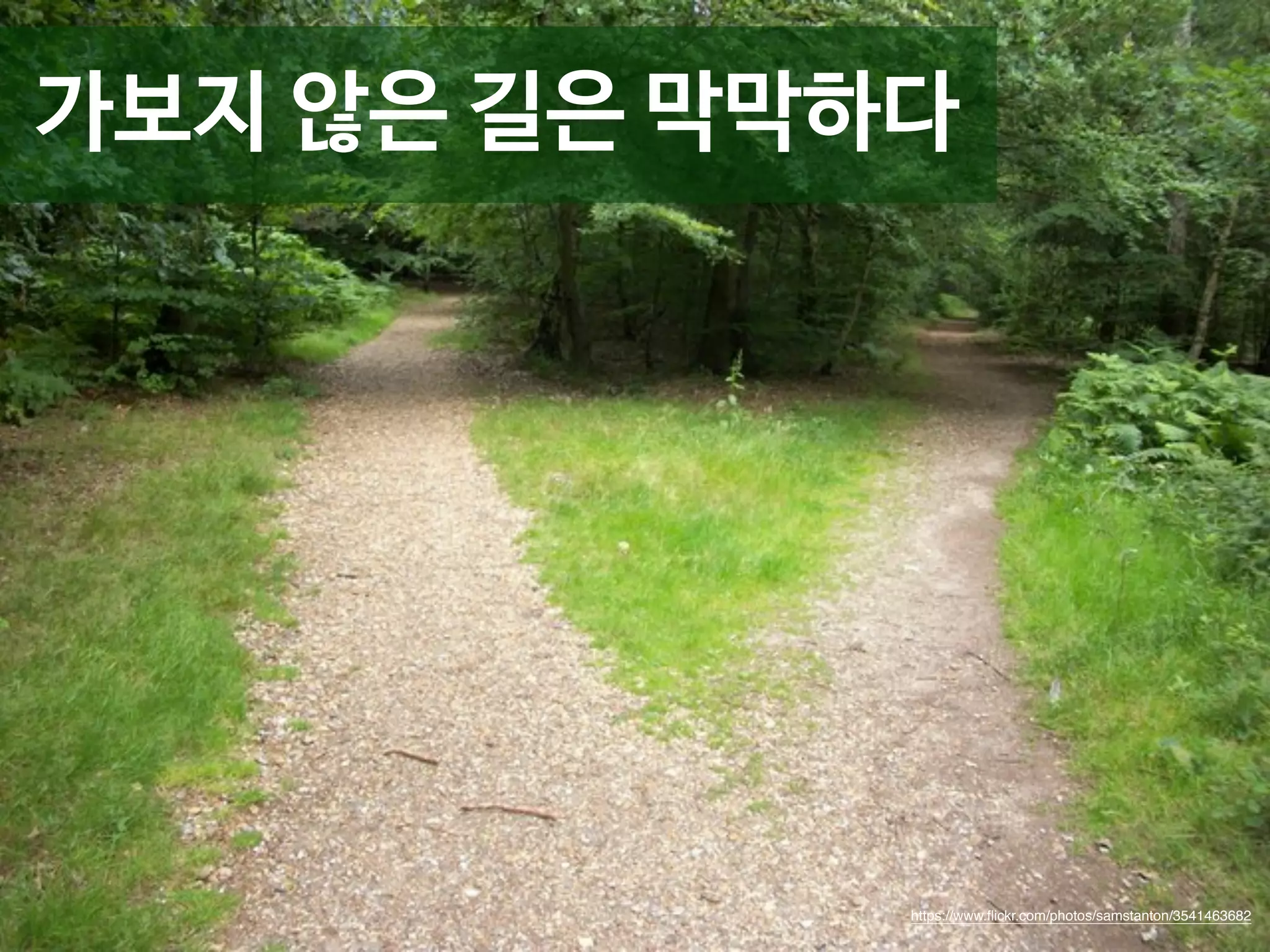 가보지 않은 길은 막막하다 
Q&A 
https://www.flickr.com/photos/samstanton/3541463682 
 