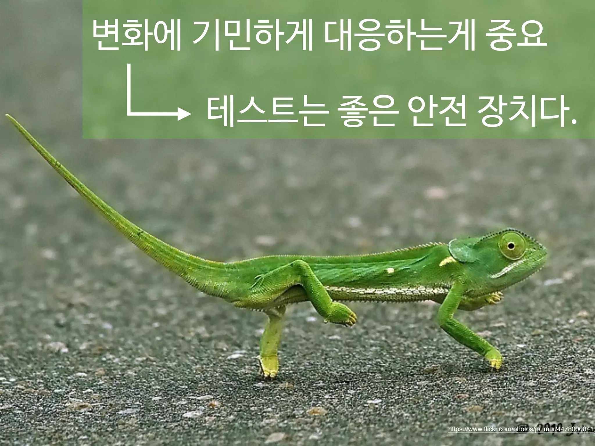 변화에 기민하게 대응하는게 중요 
테스트는 좋은 안전 장치다. 
https://www.flickr.com/photos/jo_mur/4478000841 
 